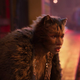 Some of the CGI isn’t... awful.